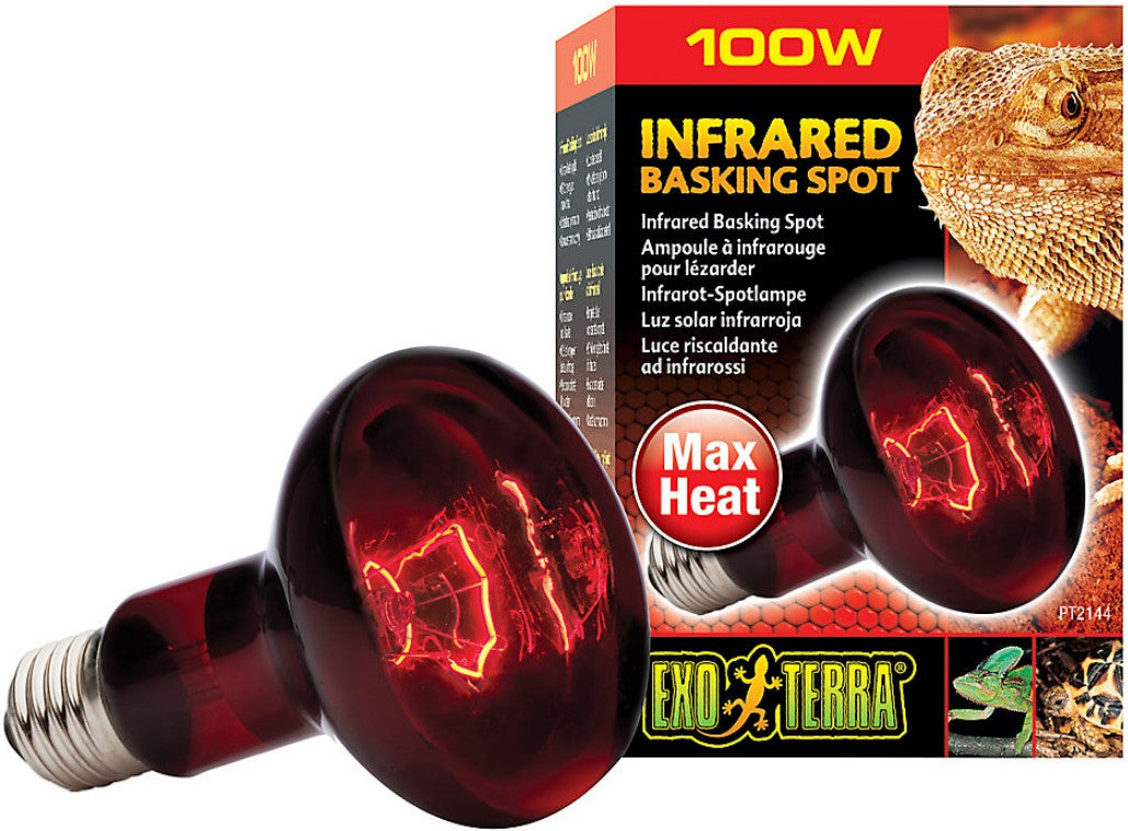 Exo Terra Heat-Glo Infrared Spot Lamp, 100-Watt/120-Volt (4 Pack)