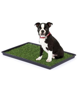 Tinkle Turf - Small