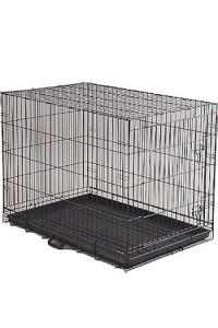 Economy Dog Crate - Large