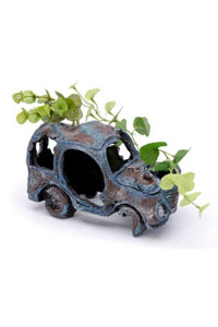 Sunken Gardens Car Wreck - Medium