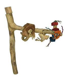 Medium Java Toy Branch 
