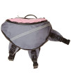 Doggles Backpack Extreme Medium Gray/Pink