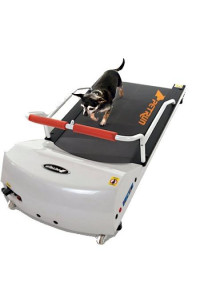 PetRun PR700 Dog Treadmill