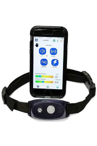 Bluefang 5-In-1 Collar