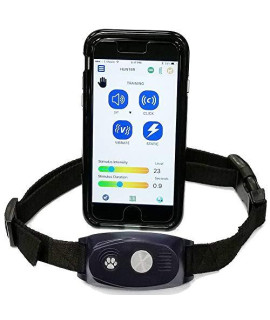 Bluefang 5-In-1 Collar