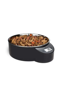 Intelligent Pet Bowl - Extra Large Black