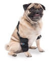 Small Universal Pet Therapy Wrap - Carpal/Elbow With Therapy Gel