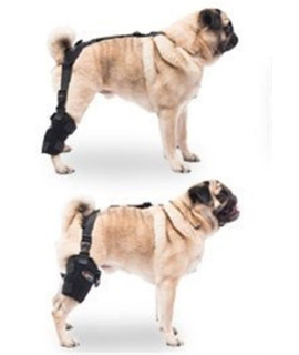 Small Universal Pet Therapy Wrap - Tarsal/Stifle With Therapy Gel