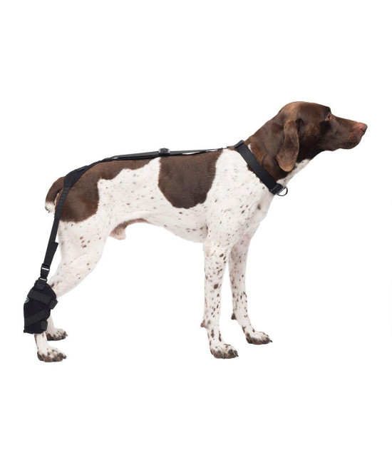 Medium Tarsal Pet Therapy Wrap With Therapy Gel