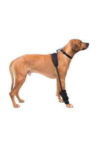 Large Carpal Pet Therapy Wrap With Therapy Gel