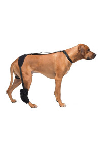 Large Tarsal Pet Therapy Wrap With Therapy Gel