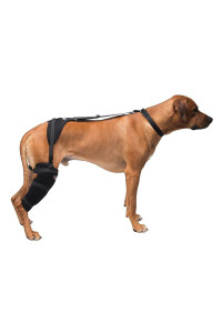 Large Stifle Pet Therapy Wrap With Therapy Gel