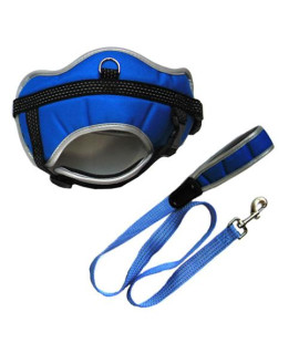 Reflective Adjustable Harness with Leash (set of 2) Asst 4 - Blue