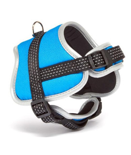 Iconic Pet - Reflective Adjustable Nylon Harness - Blue - Medium