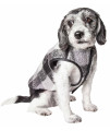 Pet Life 'Black Boxer' Classical Plaided Insulated Dog Coat Jacket, Black, Grey And White Plaid - Small