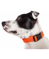 Pet Life 'Aero Mesh' 360 Degree Dual Sided Comfortable And Breathable Adjustable Mesh Dog Collar, Orange - Medium
