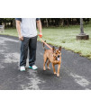 Pet Life 'Aero Mesh' 2-In-1 Dual Sided Comfortable And Breathable Adjustable Mesh Dog Leash-Collar, Orange - Small