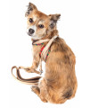 Pet Life Luxe 'Dapperbone' 2-In-1 Mesh Reversed Adjustable Dog Harness-Leash W/ Fashion Bowtie, Brown - Medium