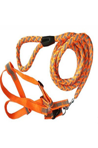 Reflective Stitched Easy Tension Adjustable 2-In-1 Dog Leash And Harness
