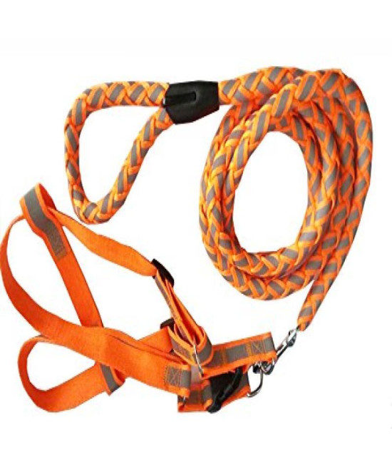 Reflective Stitched Easy Tension Adjustable 2-In-1 Dog Leash And Harness
