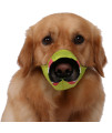 Pet Life Fumigation Adjustable Designer Dog Muzzle - Medium - Green / Red