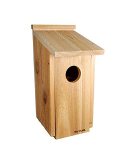 Screech Owl/Kestrel House, 3" Hole Size