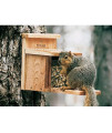 Squirrel Box Feeder