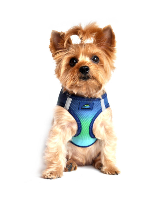 American River Choke Free Dog Harness Ombre Collection - Northern Lights(Size-XXXL)