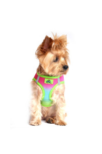 American River Choke Free Dog Harness Ombre Collection - Rainbow(Size-M)