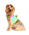 American River Choke Free Dog Harness Ombre Collection - Rainbow(Size-S)