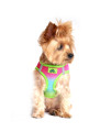 American River Choke Free Dog Harness Ombre Collection - Rainbow(Size-XXL)