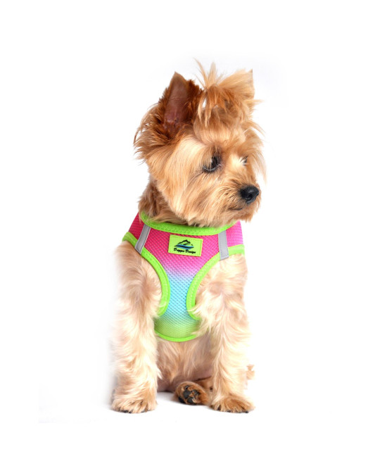 American River Choke Free Dog Harness Ombre Collection - Rainbow(Size-XXS)