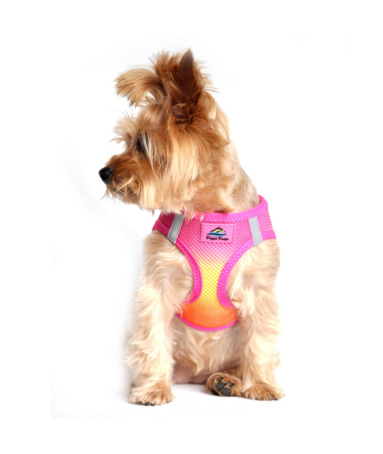 American River Choke Free Dog Harness Ombre Collection - Raspberry Pink and Orange(Size-XXL)