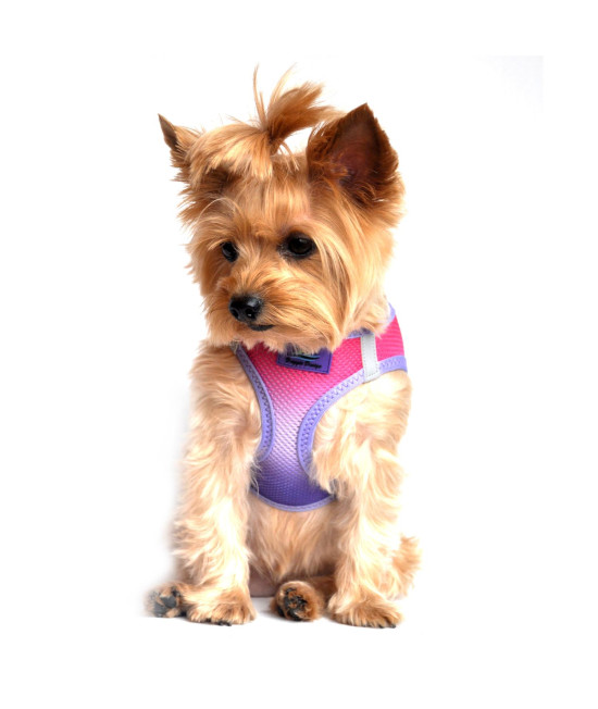 American River Choke Free Dog Harness Ombre Collection - Raspberry Sundae(Size-LG)