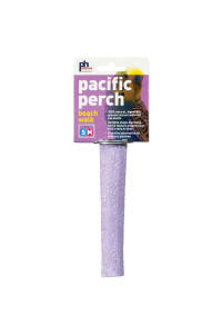Prevue Pet Products Pacific Perch Beach Walk Small