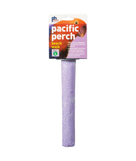 Prevue Pet Products Pacific Perch Beach Walk Large