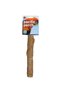 Prevue Pet Products Pacific Perch Beach Branch Medium