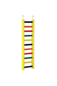 11-rung Multi- color Wood Bird Ladder
