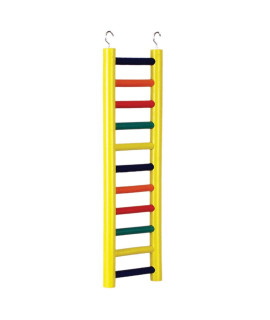 11-rung Multi- color Wood Bird Ladder