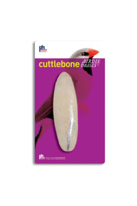 Large Cuttlebone/1pcs