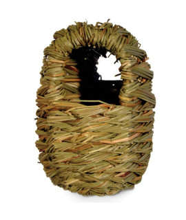 Finch Covered Nest