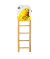 5-rung Bird Ladder