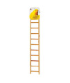 11-rung Bird Ladder