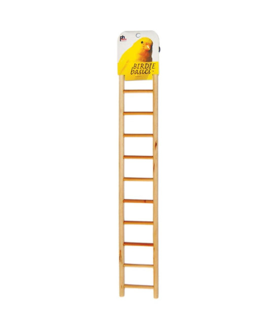 11-rung Bird Ladder