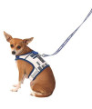 Star Wars R2D2 Dog Harness And Leash Set