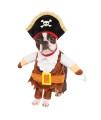 Walking Pirate Halloween Dog Costume