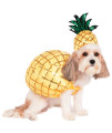 Pineapple Halloween Dog Costume