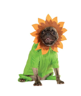 Sweet Sunflower Dog Costume