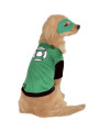 DC Green Lantern Dog Costume