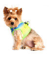 American River Choke-Free Dog Harness - Cobalt Sport Ombre